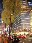 YanagiOfGinza.jpg